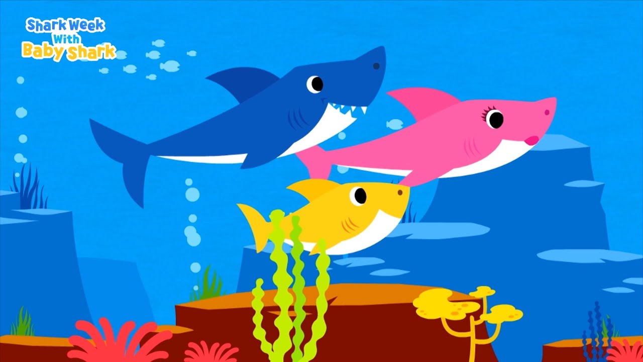 Baby Shark & Great White Shark